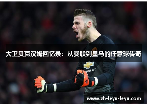 大卫贝克汉姆回忆录：从曼联到皇马的任意球传奇